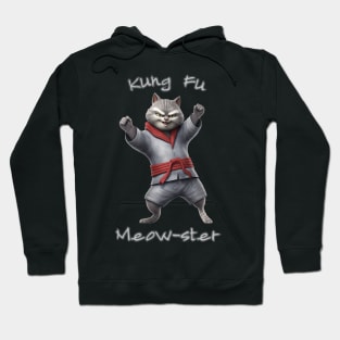 Kung Fu Cat Kung Fu Meowster Saying - Funny Cat Saying Hoodie